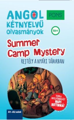 PONS Summer Camp Mystery