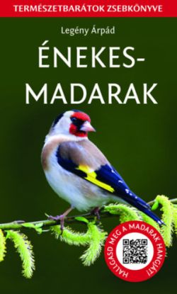 Énekesmadarak