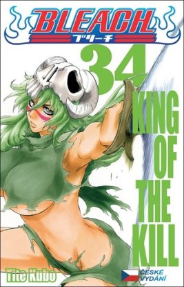 Bleach 34: King of the Kill