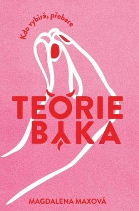 Teorie býka